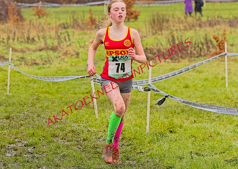 20260207 LONC XC00337A.JPG