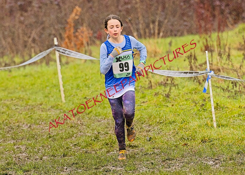 20260207 LONC XC00353A.JPG