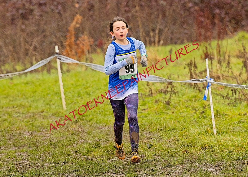 20260207 LONC XC00354A.JPG