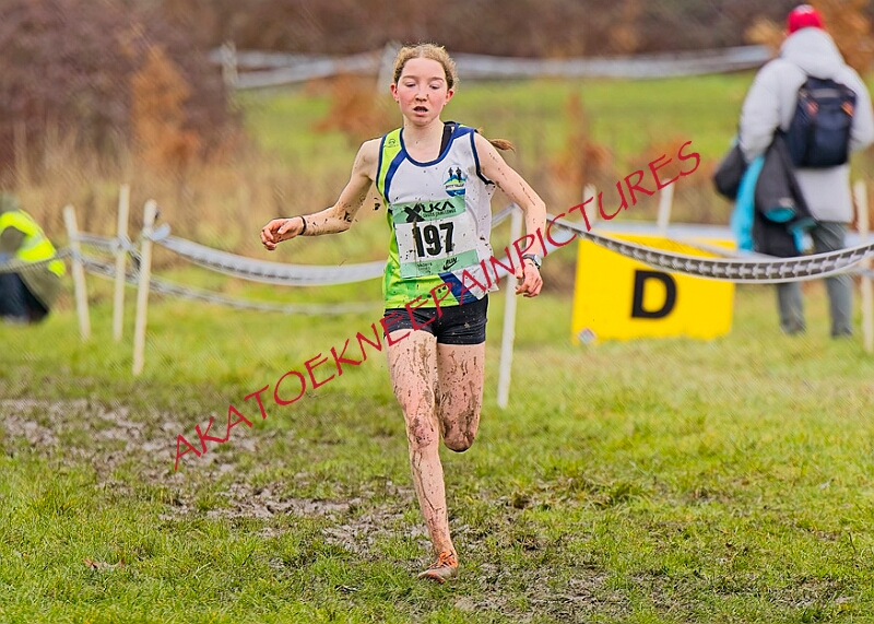 20260207 LONC XC00612A.JPG