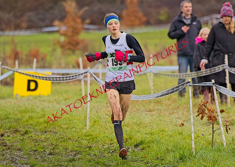 20260207 LONC XC00638A.JPG