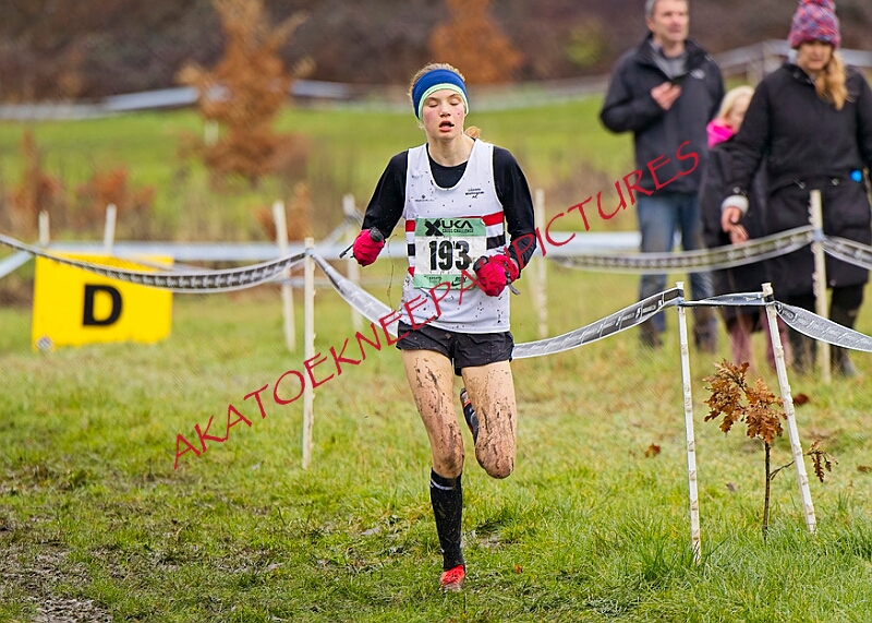 20260207 LONC XC00639A.JPG