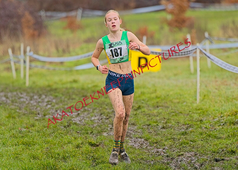 20260207 LONC XC00645A.JPG