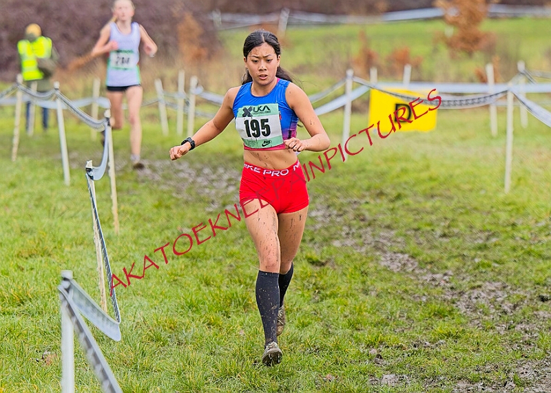 20260207 LONC XC00653A.JPG