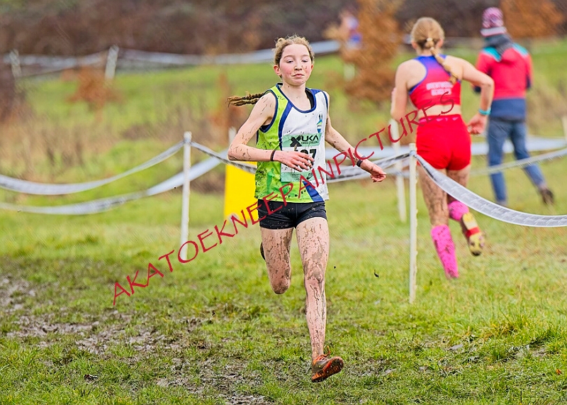 20260207 LONC XC00675A.JPG