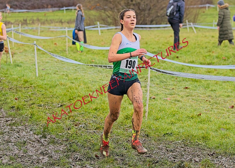 20260207 LONC XC00689A.JPG