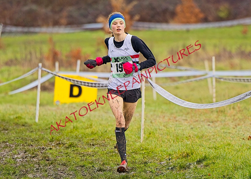 20260207 LONC XC00701A.JPG