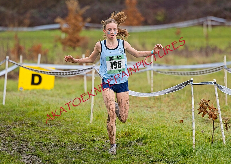 20260207 LONC XC00704A.JPG