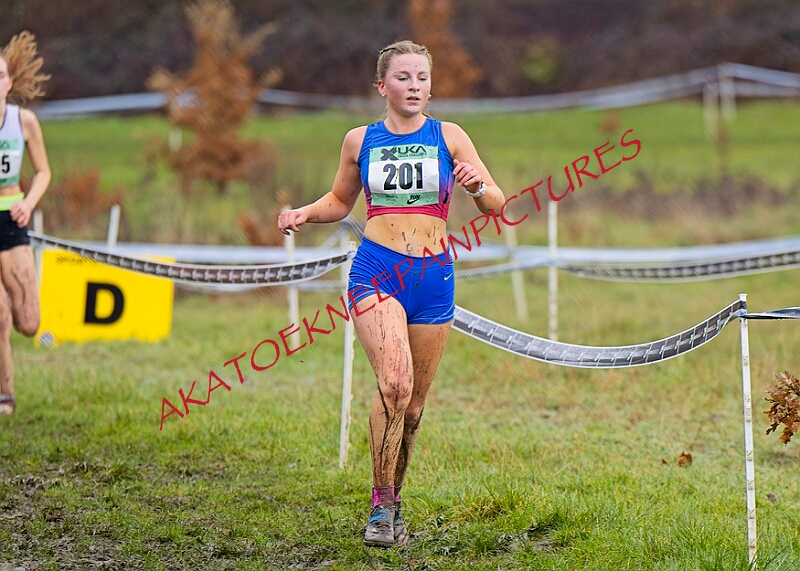 20260207 LONC XC00719A.JPG