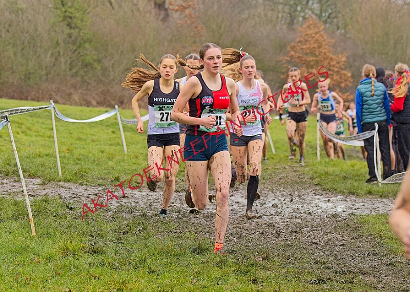 20260207 LONC XC00879A.JPG