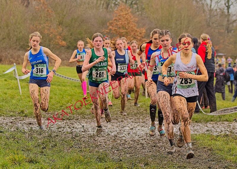 20260207 LONC XC00887A.JPG