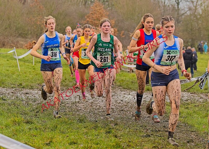 20260207 LONC XC00889A.JPG