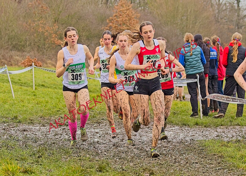 20260207 LONC XC00895A.JPG