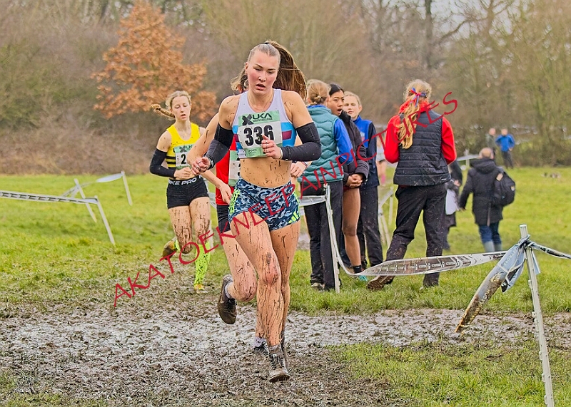 20260207 LONC XC00907A.JPG