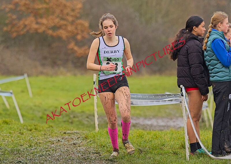 20260207 LONC XC00923A.JPG