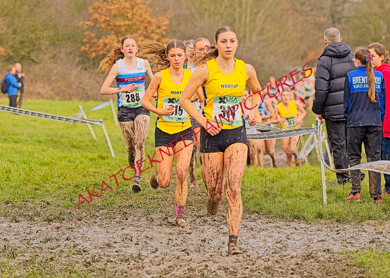 20260207 LONC XC00945A.JPG