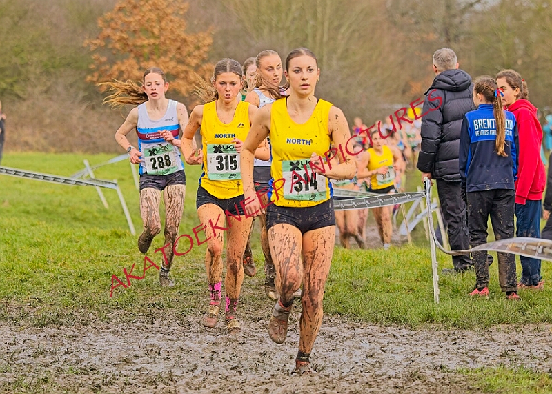 20260207 LONC XC00946A.JPG