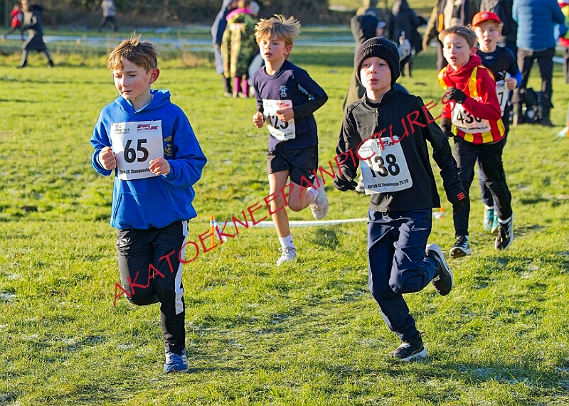 20260104 ANXCA00192A.JPG