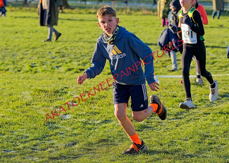 20260104 ANXCA00203A.JPG