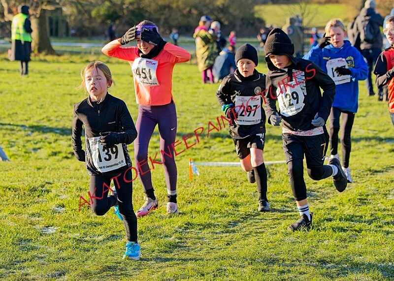 20260104 ANXCA00207A.JPG