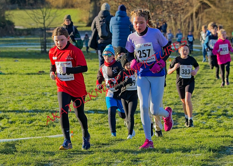 20260104 ANXCA00240A.JPG