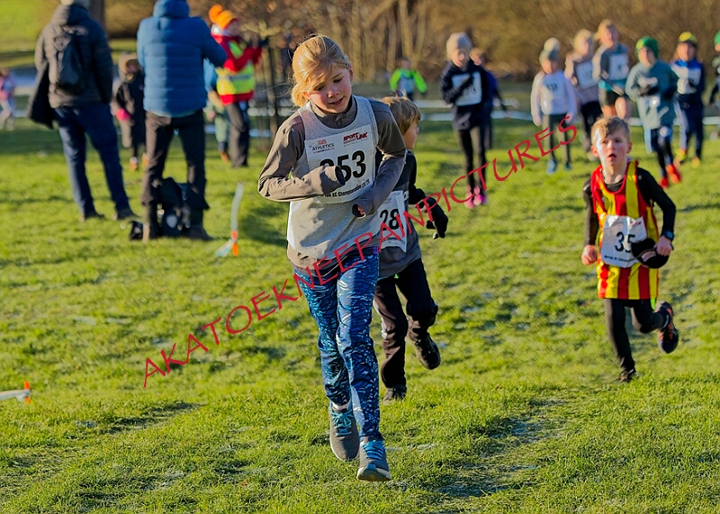 20260104 ANXCA00253A.JPG