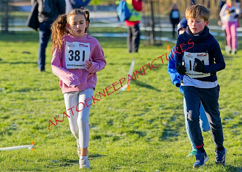 20260104 ANXCA00268A.JPG