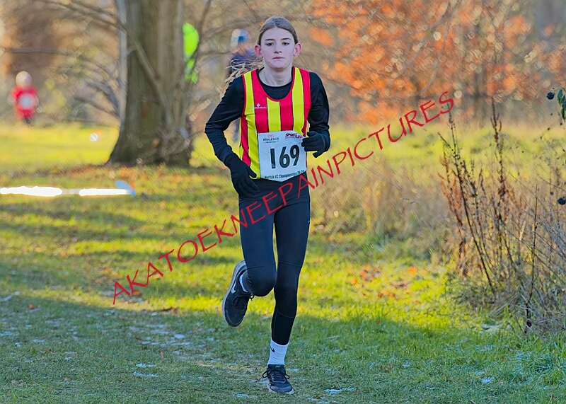 20260104 ANXCA00448A.JPG