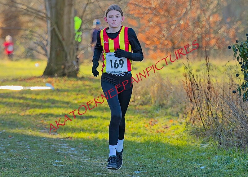 20260104 ANXCA00449A.JPG