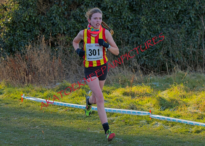 20260104 ANXCB 00015A.JPG