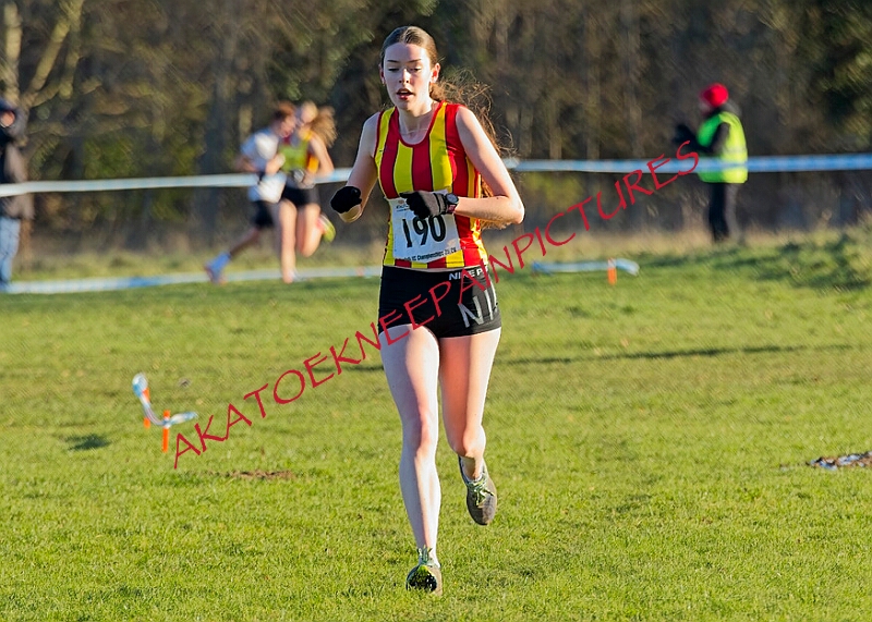 20260104 ANXCB 00185A.JPG