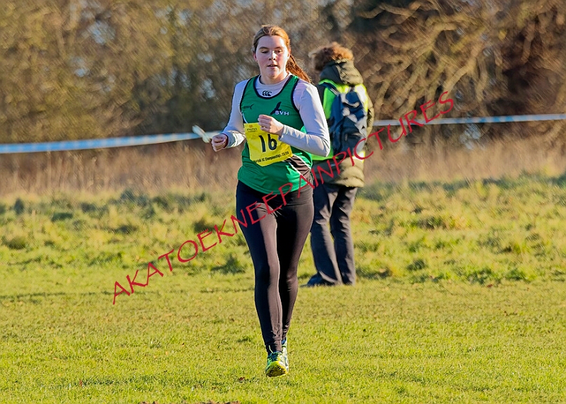 20260104 ANXCB 00210A.JPG