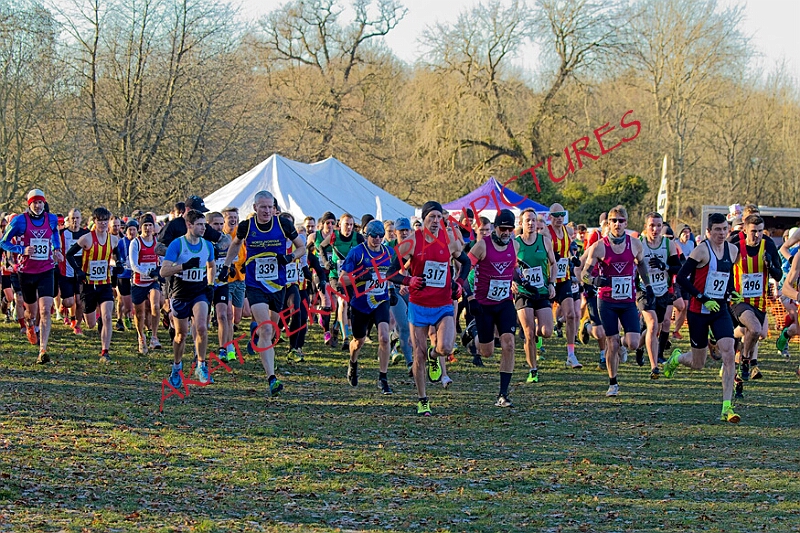 20260104 ANXCB 00233A.JPG