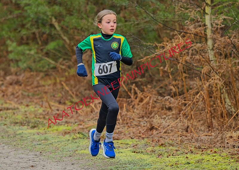 20260111 RRXCJANA 00008A.JPG