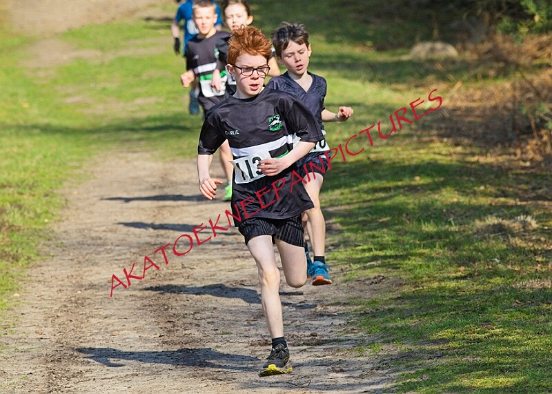 20260315 RRXCMARCHA 00006A.JPG