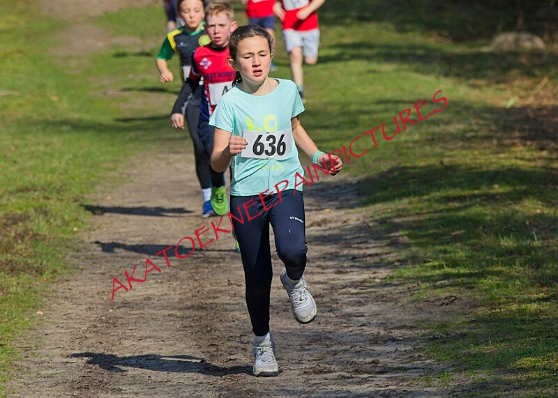 20260315 RRXCMARCHA 00022A.JPG