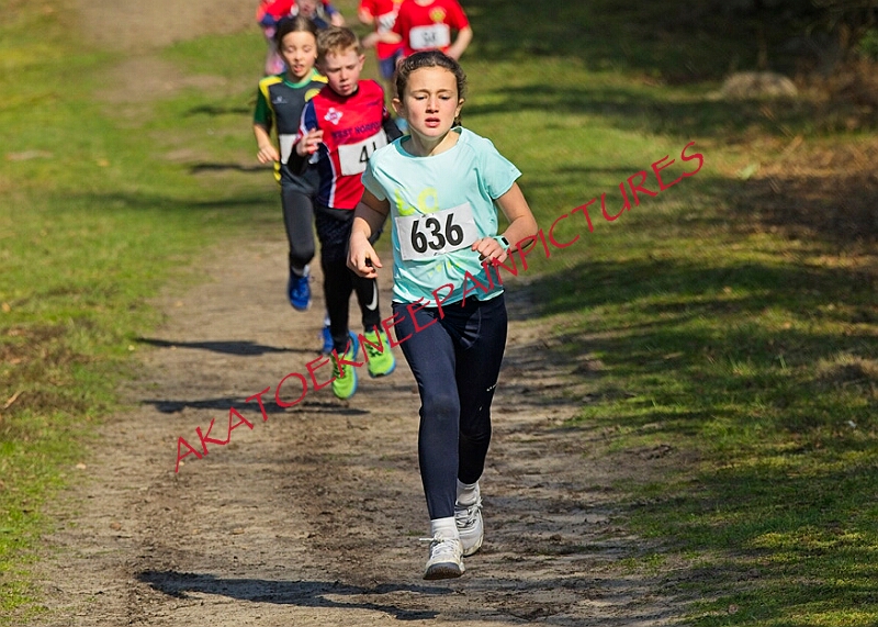 20260315 RRXCMARCHA 00024A.JPG