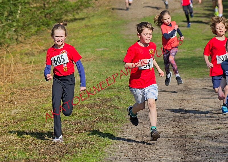 20260315 RRXCMARCHA 00032A.JPG