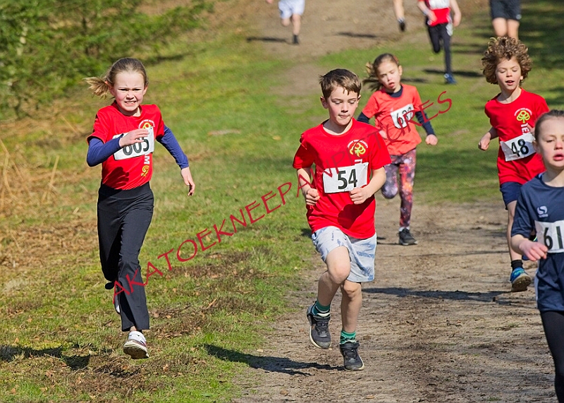 20260315 RRXCMARCHA 00033A.JPG