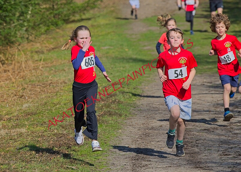 20260315 RRXCMARCHA 00034A.JPG