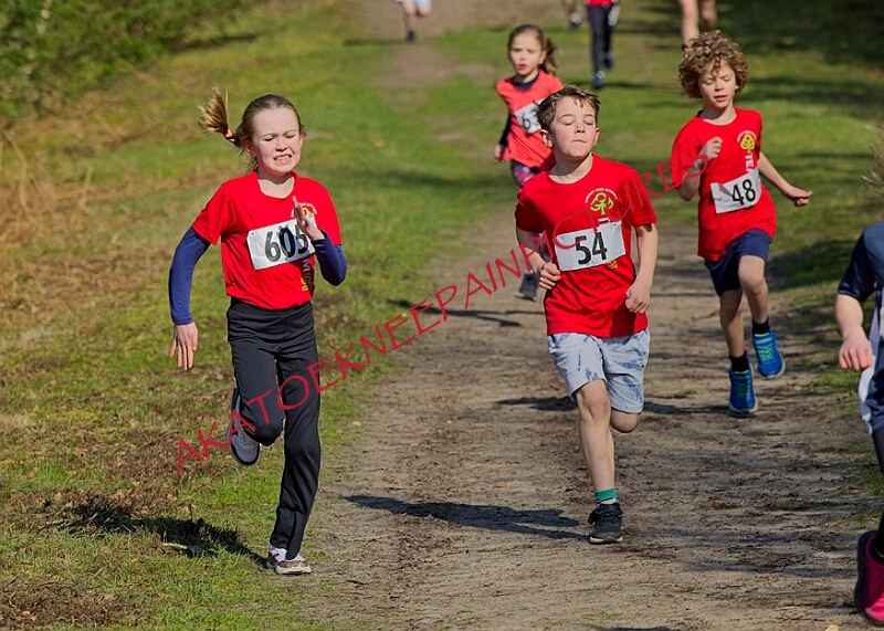 20260315 RRXCMARCHA 00035A.JPG