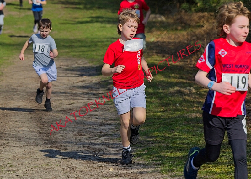 20260315 RRXCMARCHA 00044A.JPG