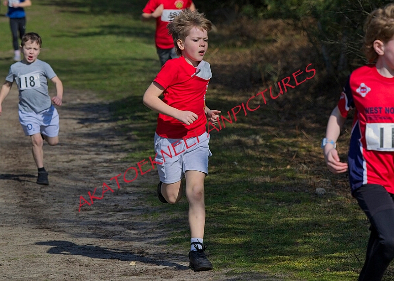 20260315 RRXCMARCHA 00045A.JPG