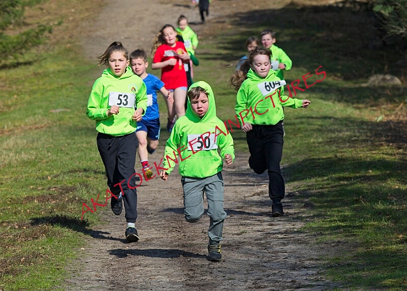 20260315 RRXCMARCHA 00054A.JPG