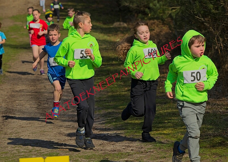 20260315 RRXCMARCHA 00056A.JPG