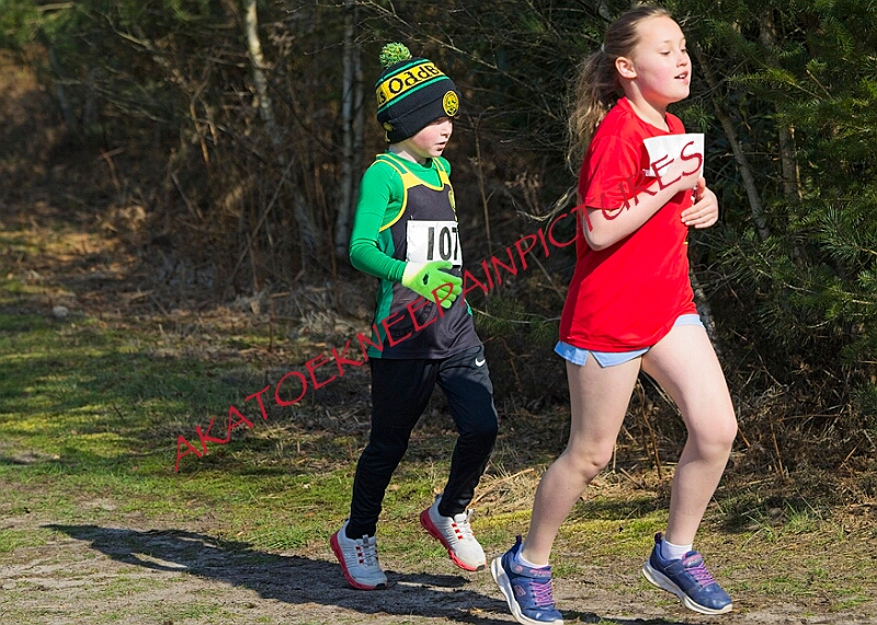 20260315 RRXCMARCHA 00065A.JPG