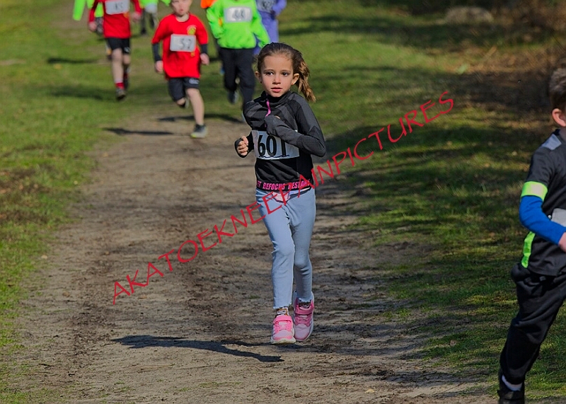 20260315 RRXCMARCHA 00070A.JPG