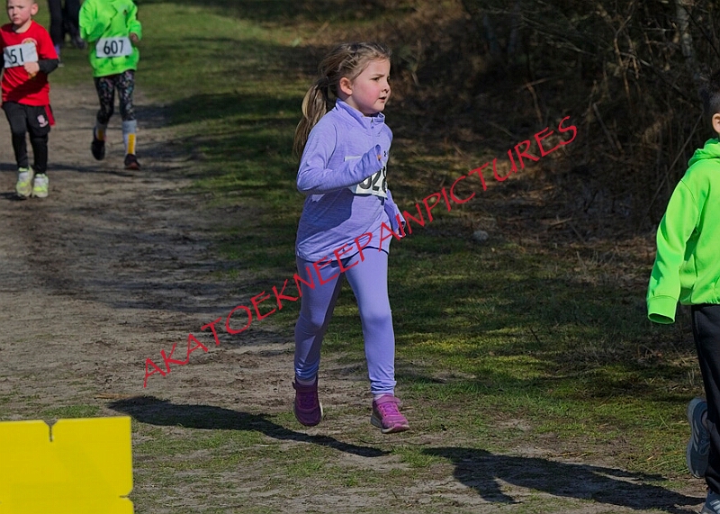 20260315 RRXCMARCHA 00076A.JPG