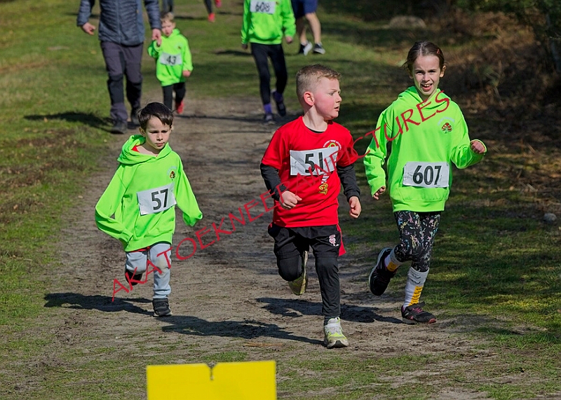 20260315 RRXCMARCHA 00083A.JPG