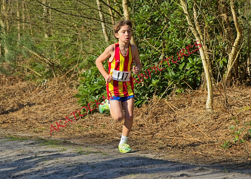 20260315 RRXCMARCHA 00120A.JPG